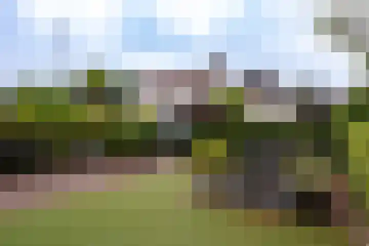 Nieuwstadsweg 6 Elburg thumbnail 42