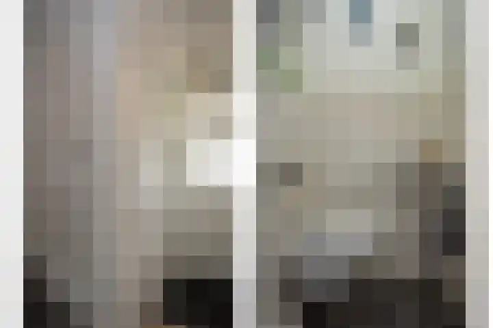 Nieuwstadsweg 6 Elburg thumbnail 5