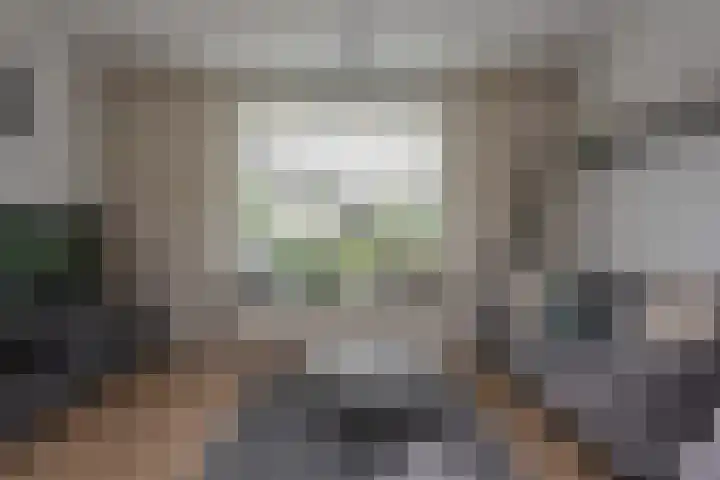 Nieuwstadsweg 6 Elburg thumbnail 7