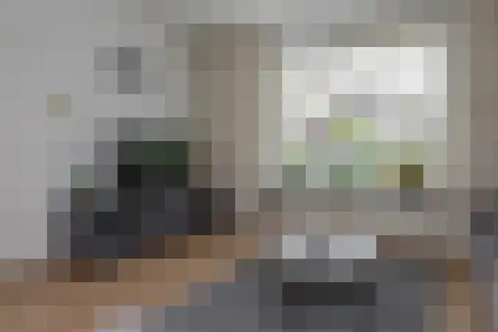 Nieuwstadsweg 6 Elburg thumbnail 9
