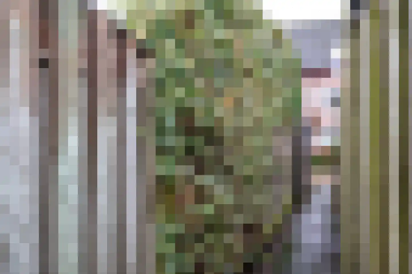 Nieuwstadweg 10 Nijmegen thumbnail 37