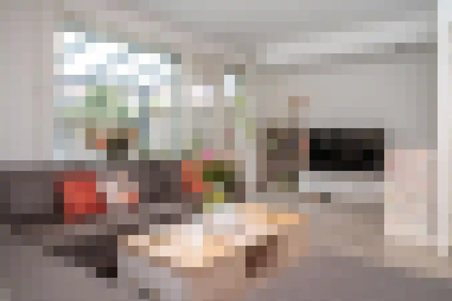 Nieuwstadweg 10 Nijmegen thumbnail 7