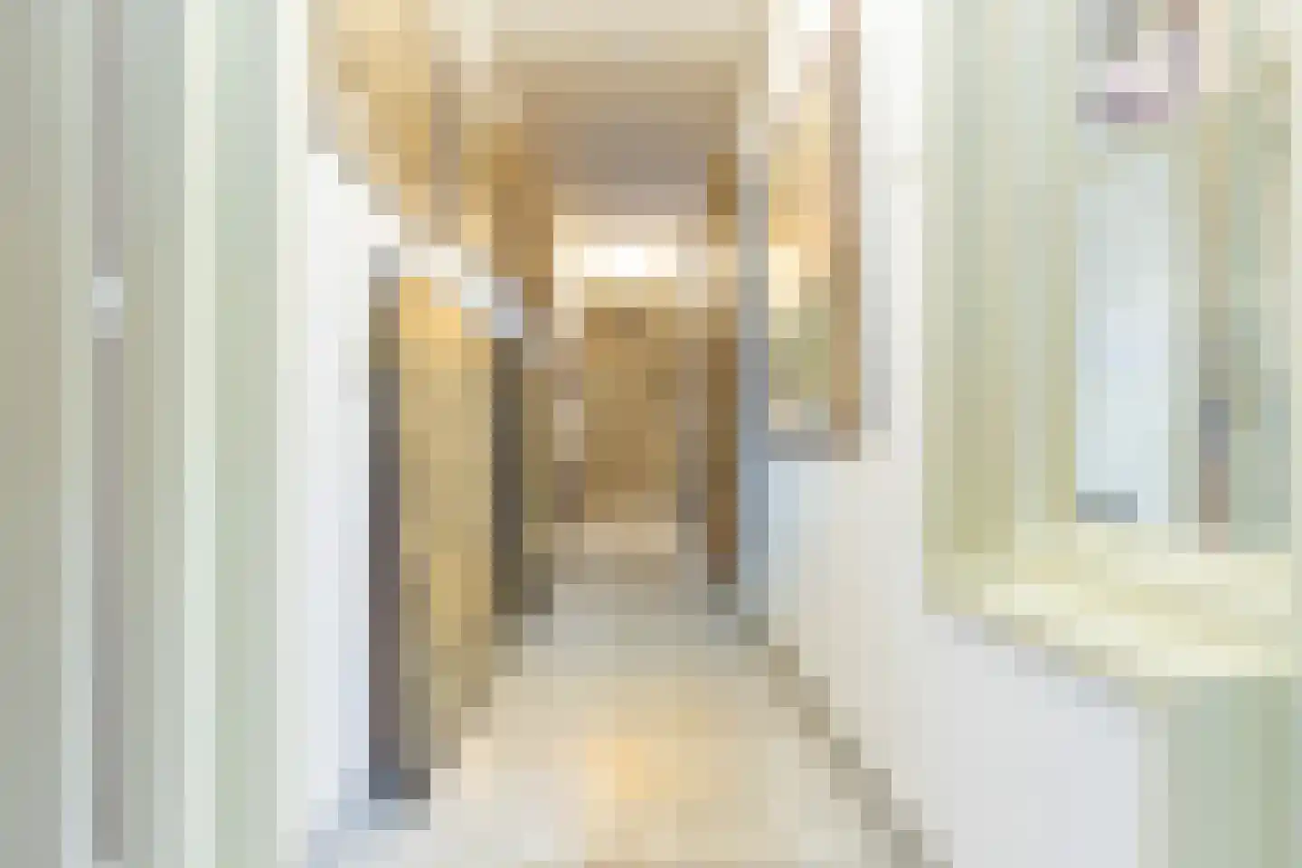 Nieuwsteeg 1 Leiden thumbnail 19