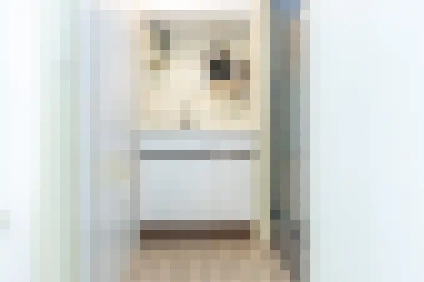 Nieuwsteeg 1 Leiden thumbnail 24