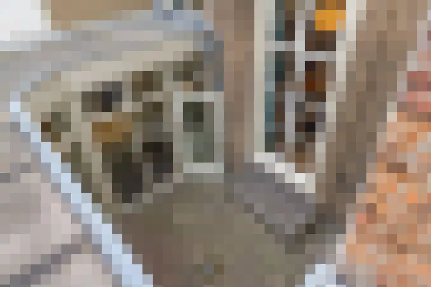 Nieuwsteeg 1 Leiden thumbnail 31