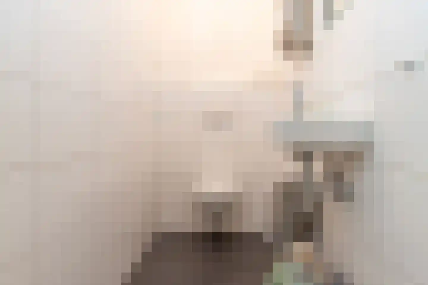 Nieuwsteeg 1 Leiden thumbnail 47