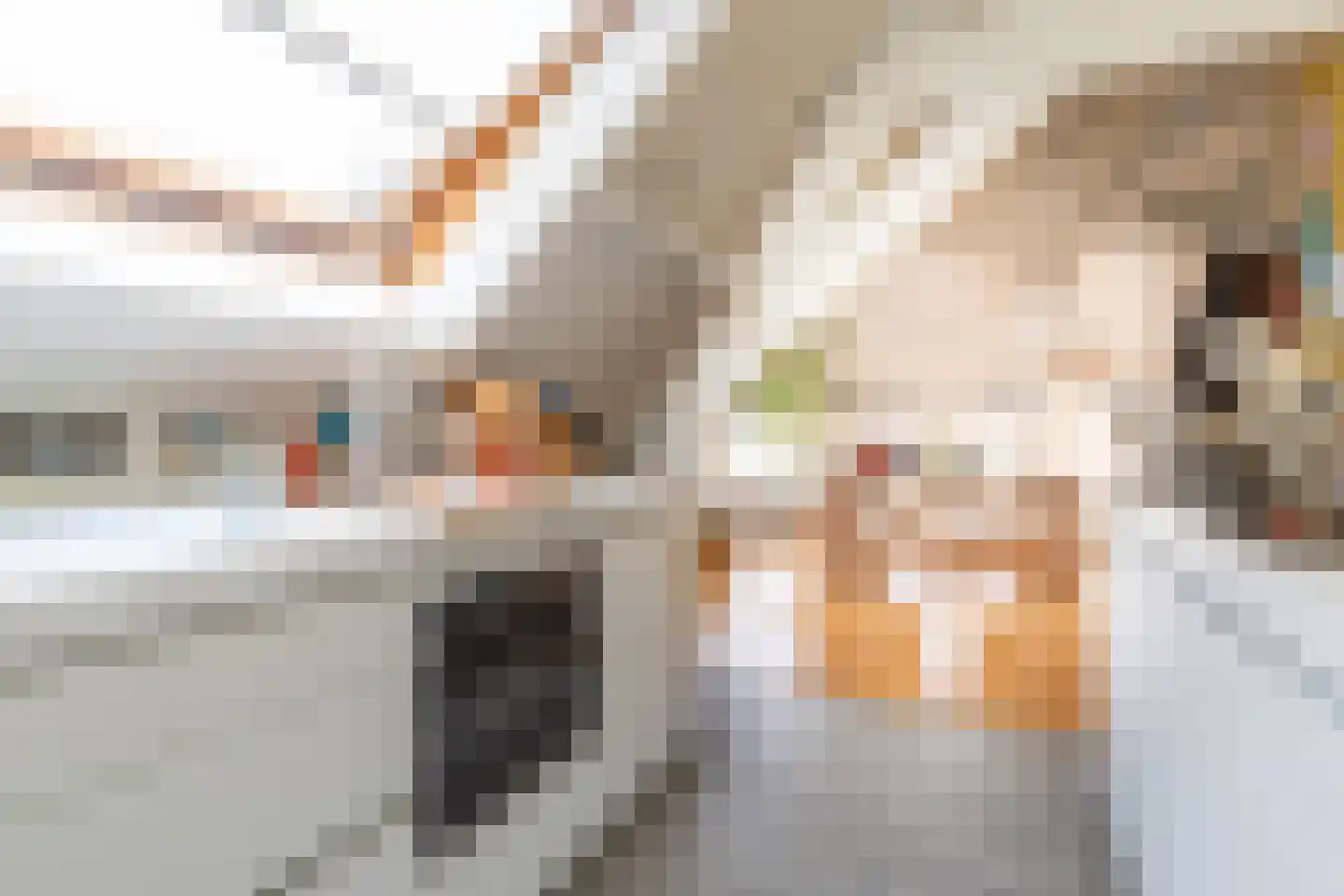 Nieuwsteeg 1 Leiden thumbnail 55