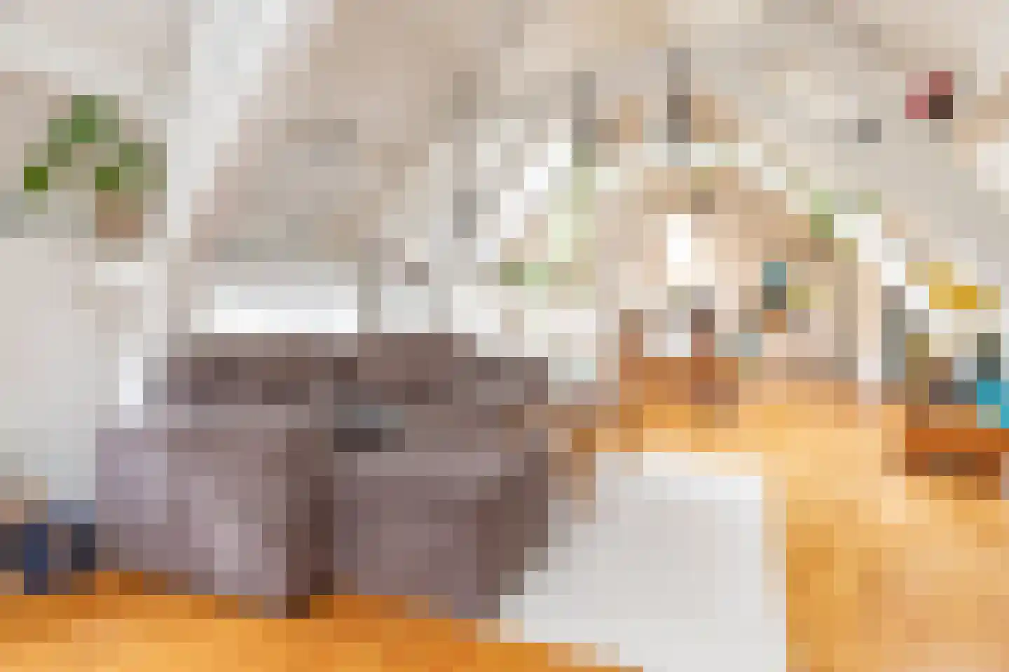 Nieuwsteeg 1 Leiden thumbnail 9