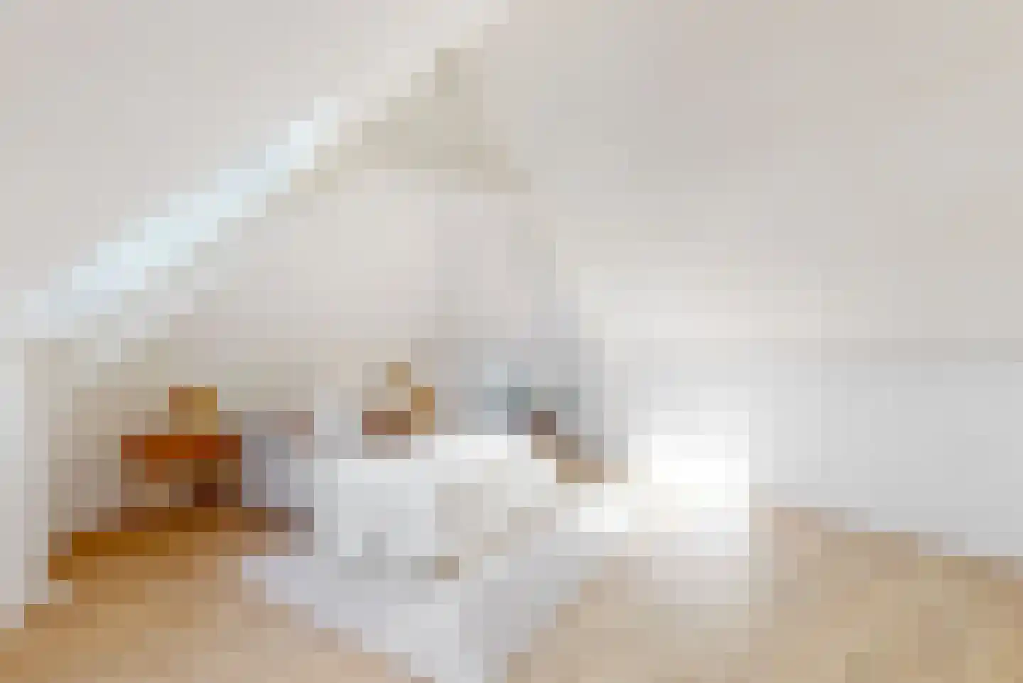 Nieuwsteeg 14 A Hoorn thumbnail 19