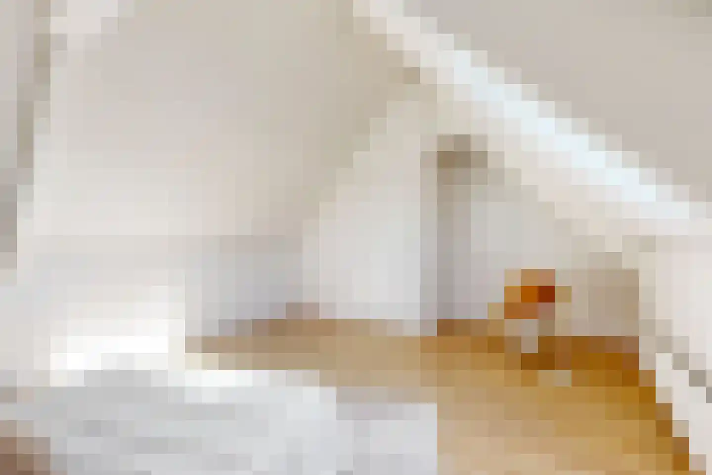 Nieuwsteeg 14 A Hoorn thumbnail 21