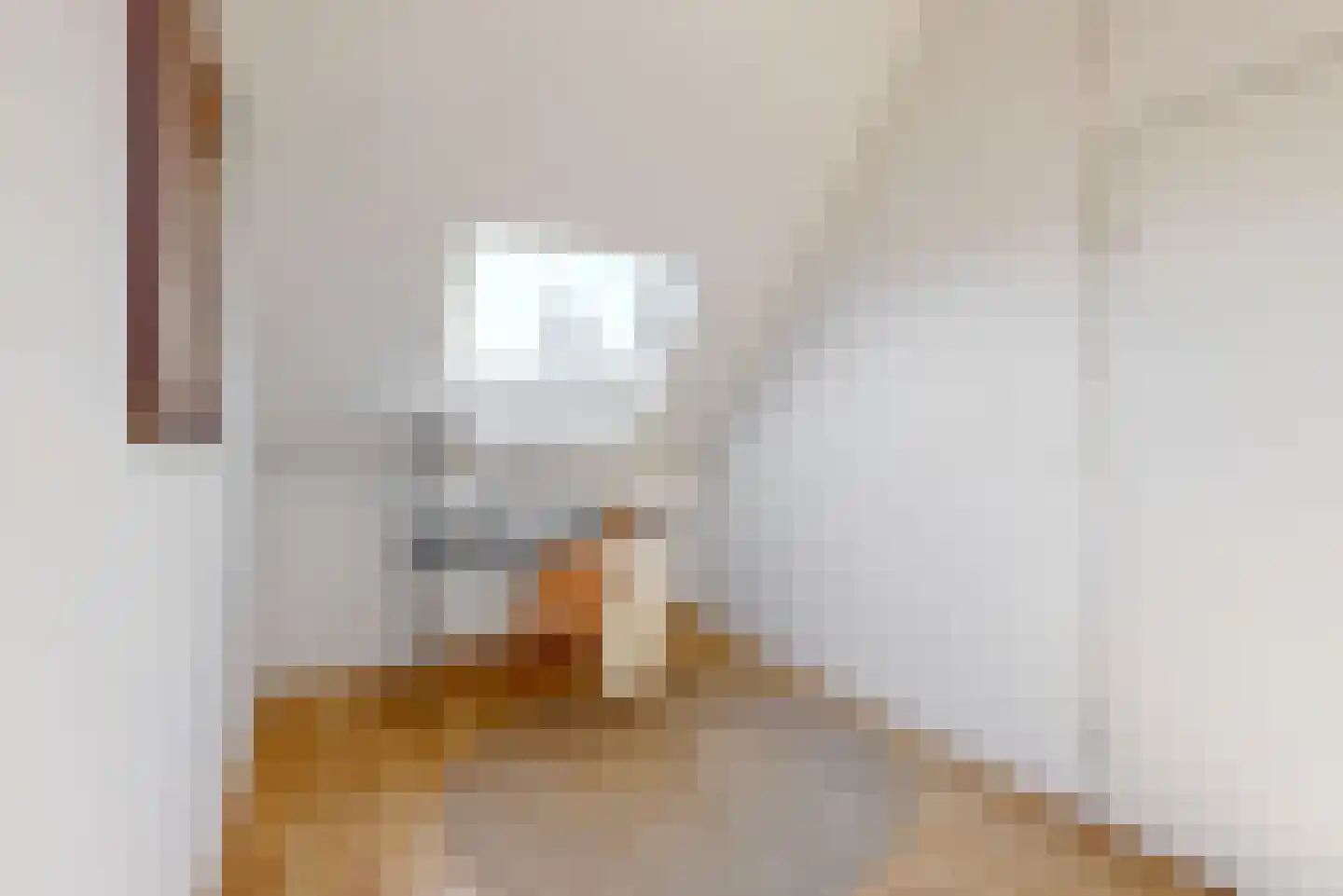 Nieuwsteeg 14 A Hoorn thumbnail 22