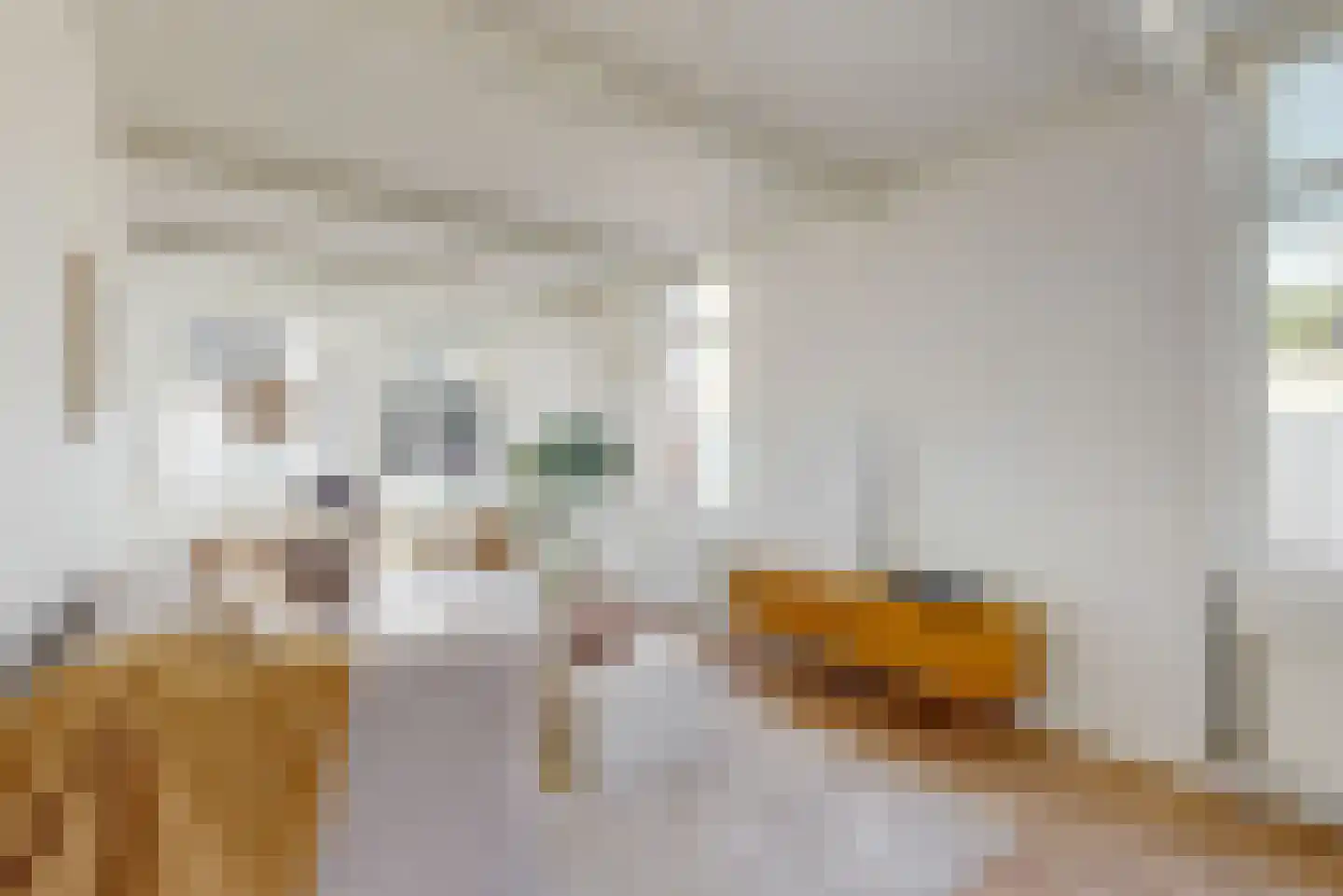 Nieuwsteeg 14 A Hoorn thumbnail 9