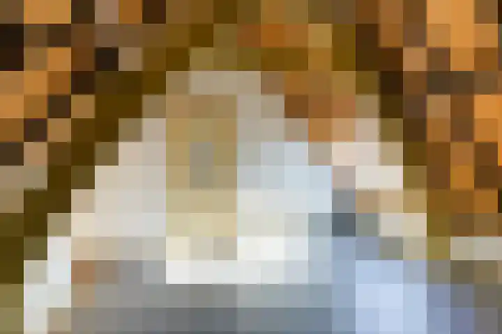 Nieuwsteeg 15 Leiden thumbnail 25
