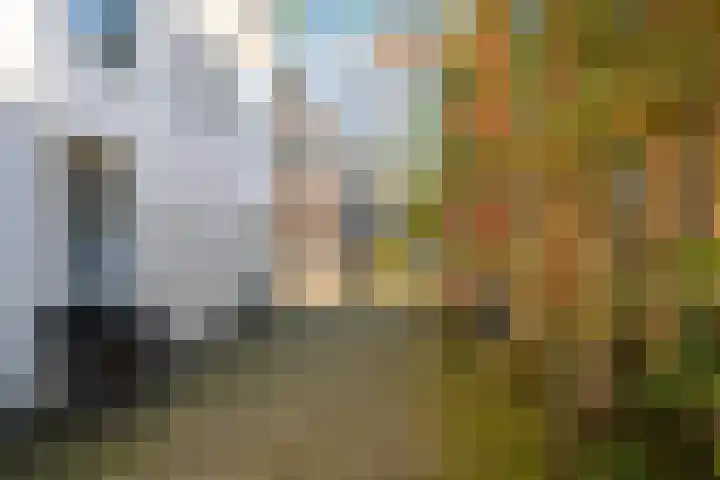 Nieuwsteeg 15 Leiden thumbnail 31