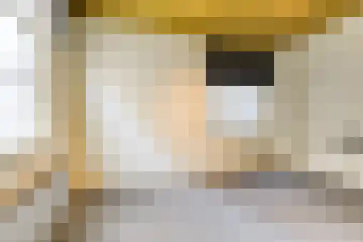 Nieuwsteeg 15 Leiden thumbnail 9