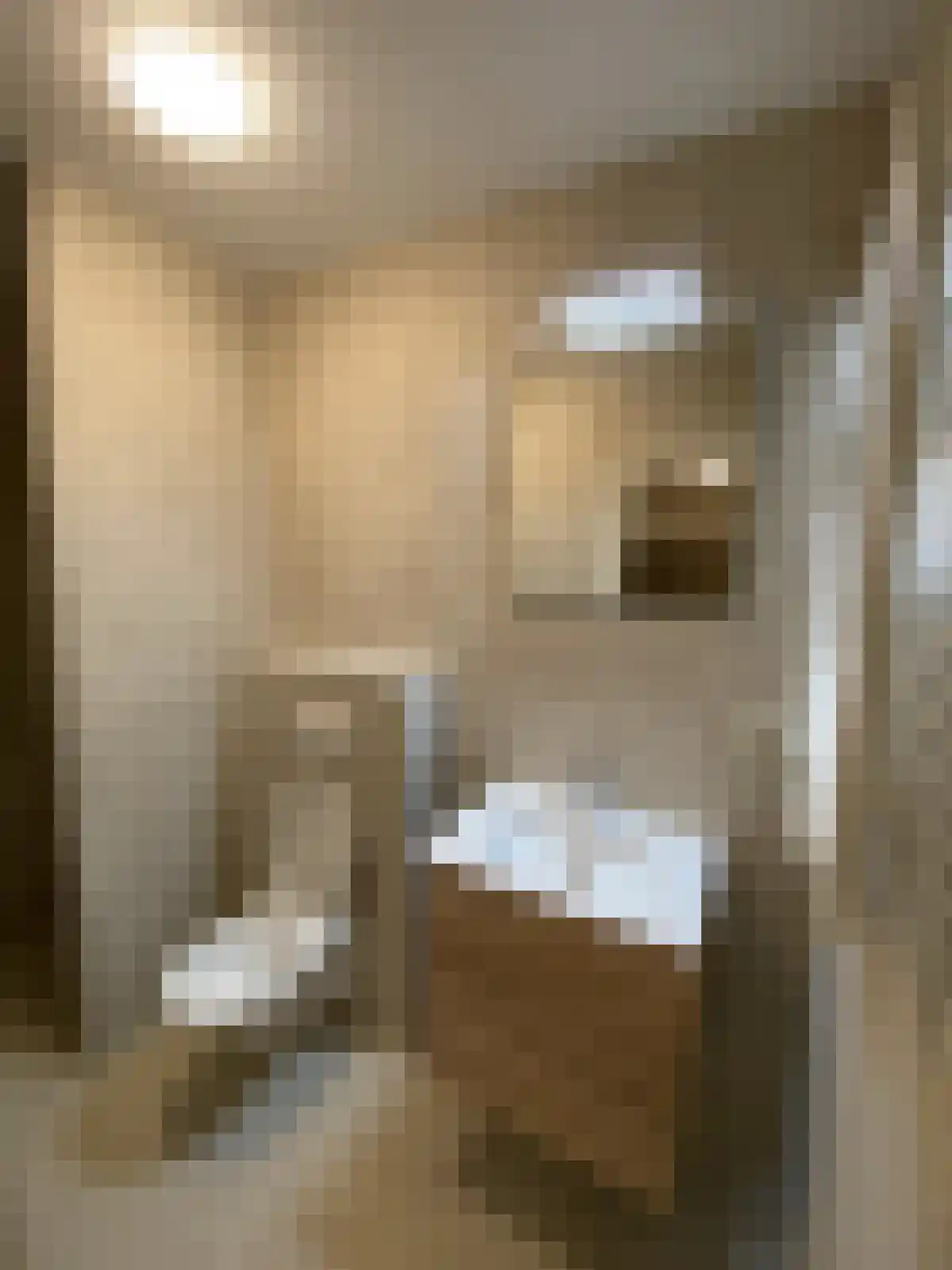 Nieuwsteeg 23 Hengelo thumbnail 4