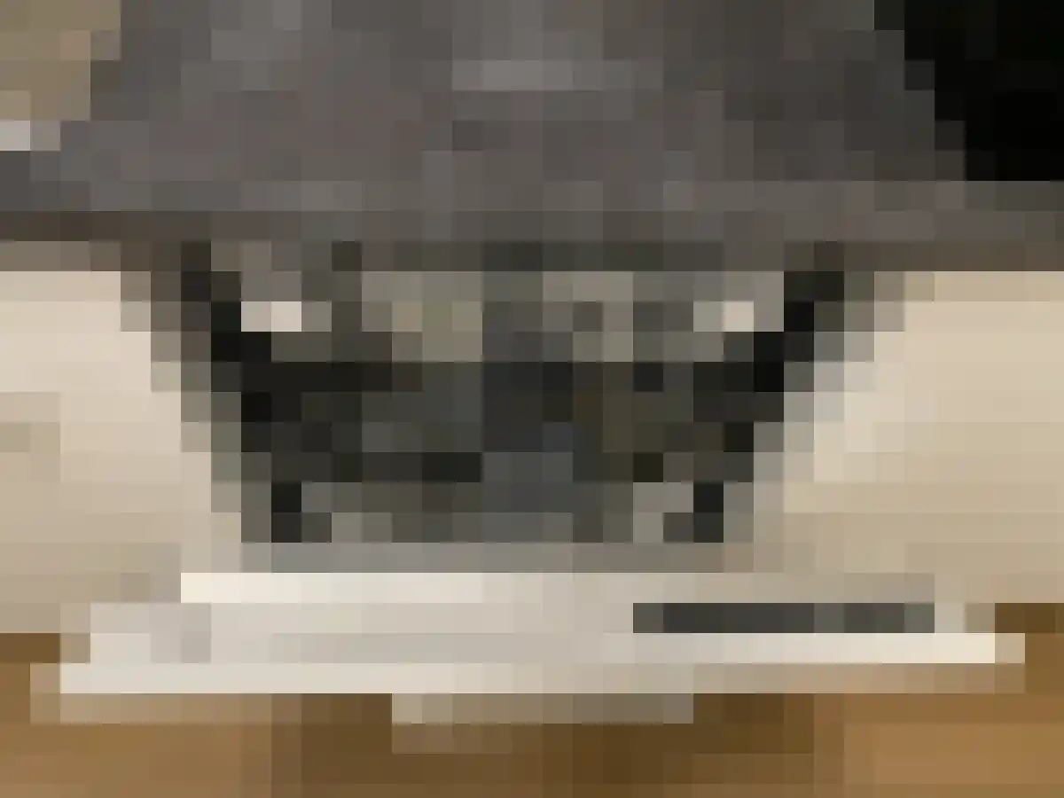 Nieuwsteeg 23 Hengelo thumbnail 5
