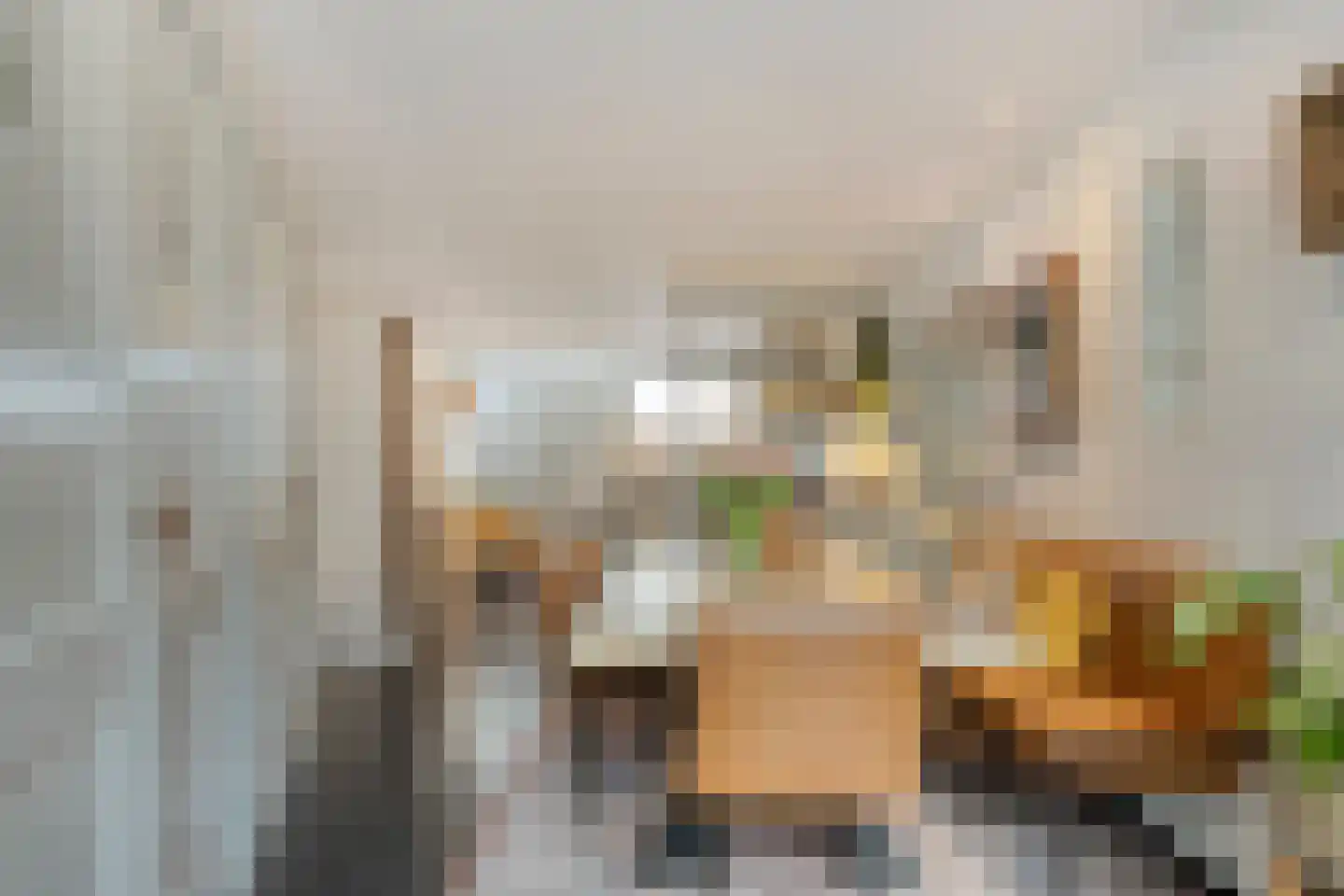 Nieuwsteeg 23 Leiden thumbnail 23