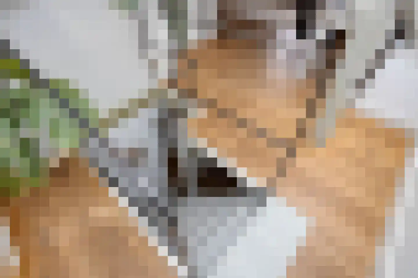 Nieuwsteeg 23 Leiden thumbnail 33