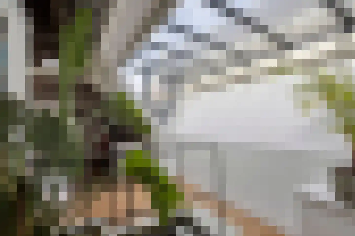 Nieuwsteeg 23 Leiden thumbnail 34