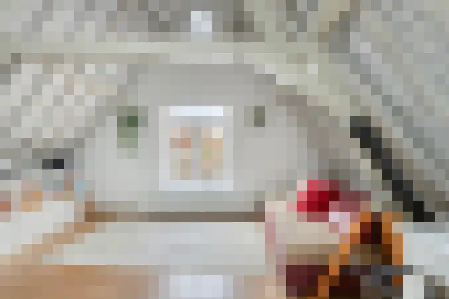 Nieuwsteeg 23 Leiden thumbnail 35
