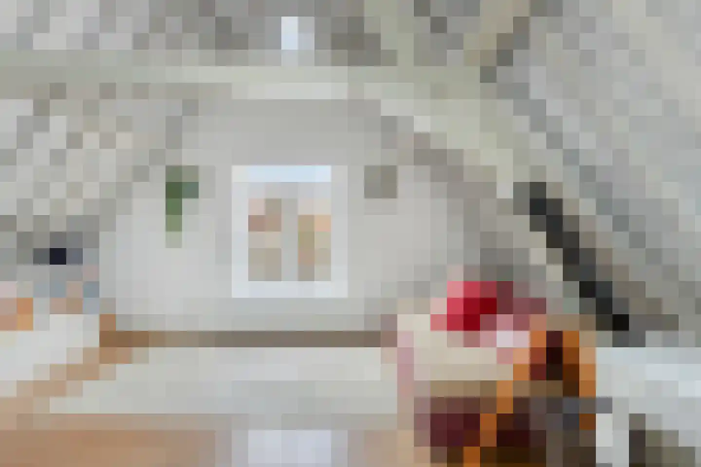 Nieuwsteeg 23 Leiden thumbnail 36