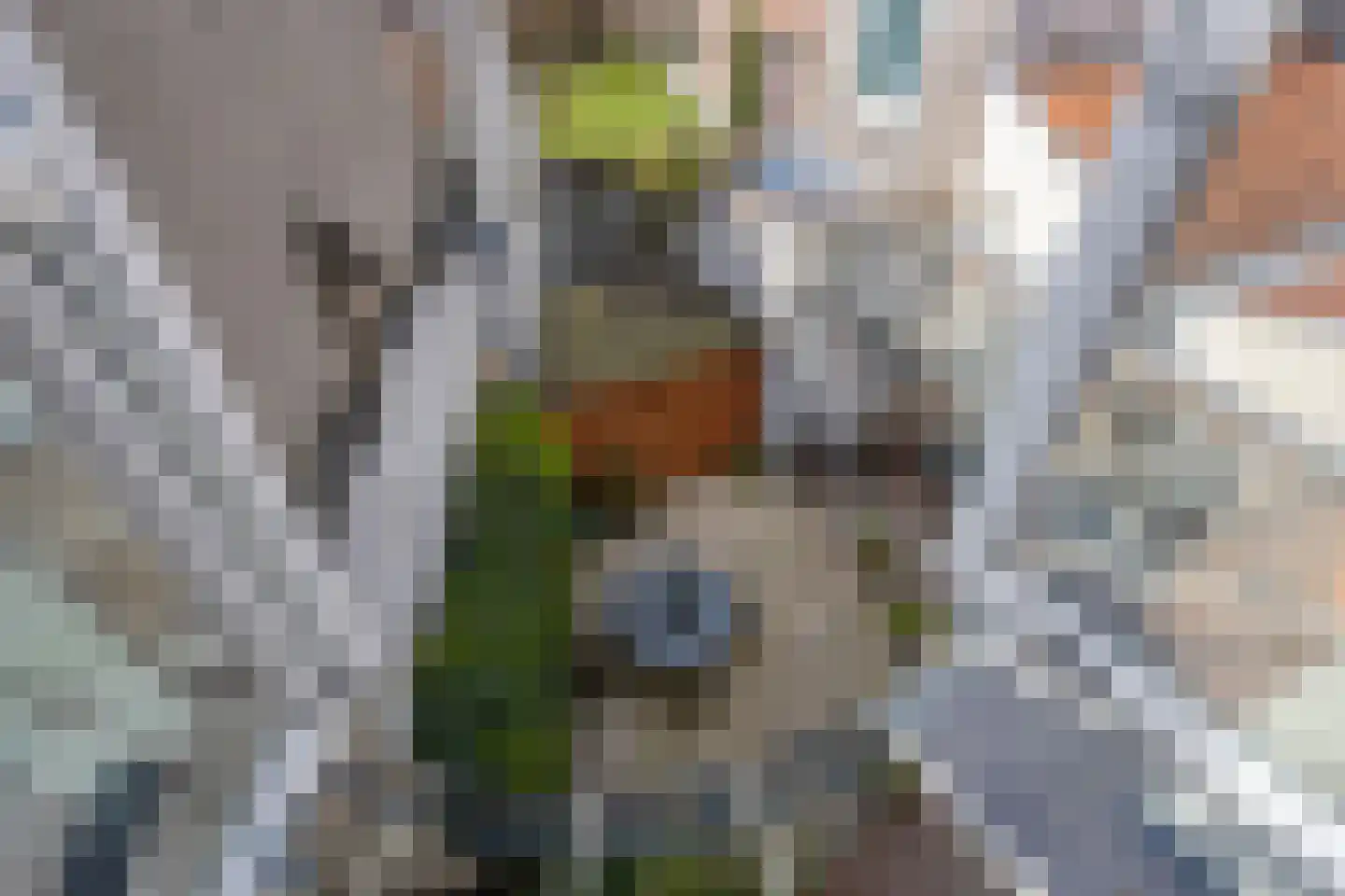 Nieuwsteeg 23 Leiden thumbnail 38