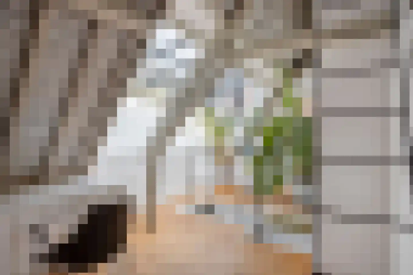 Nieuwsteeg 23 Leiden thumbnail 39