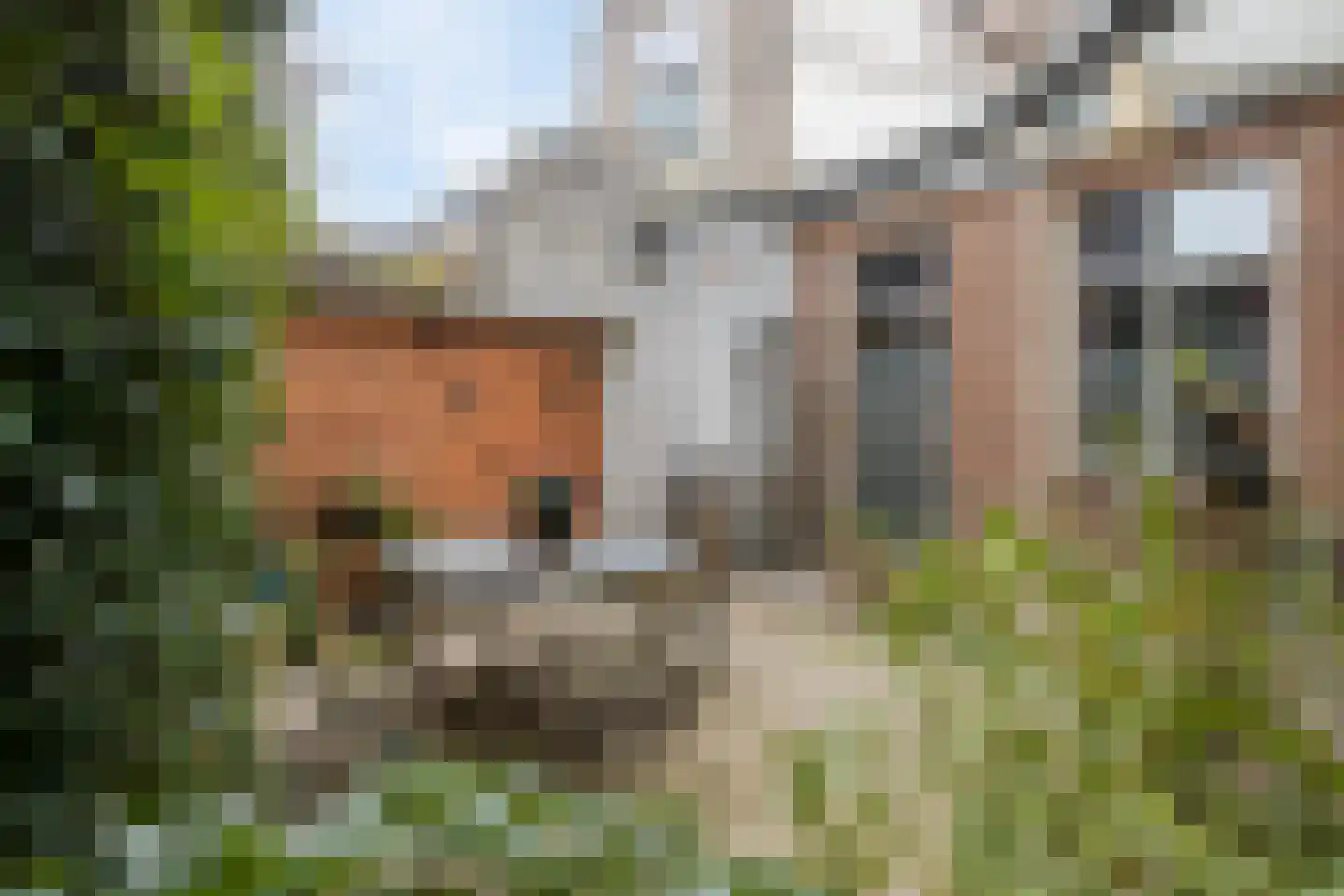 Nieuwsteeg 23 Leiden thumbnail 46