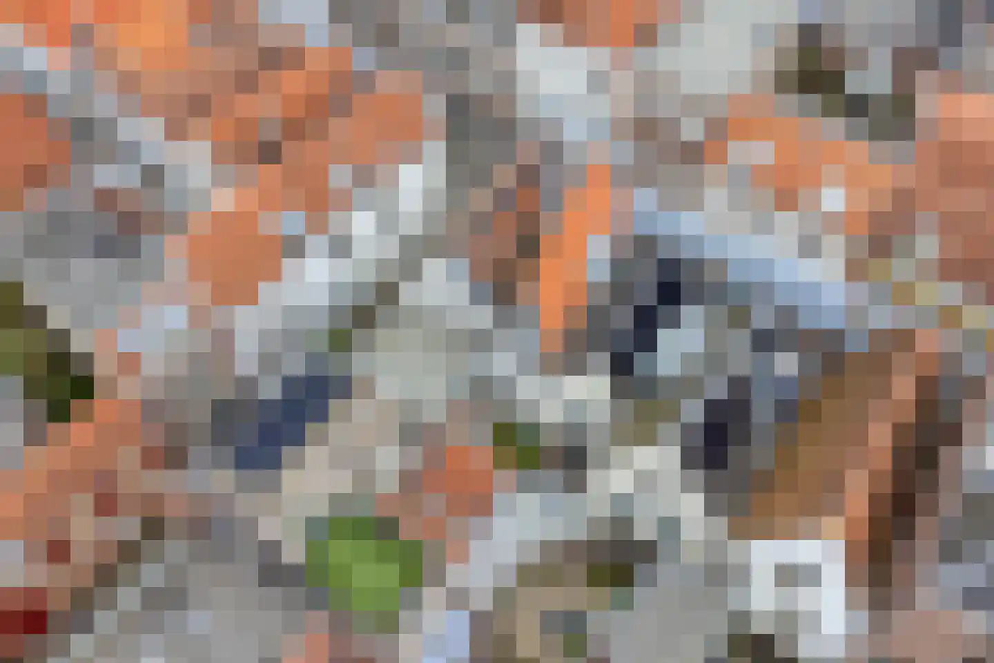 Nieuwsteeg 23 Leiden thumbnail 5
