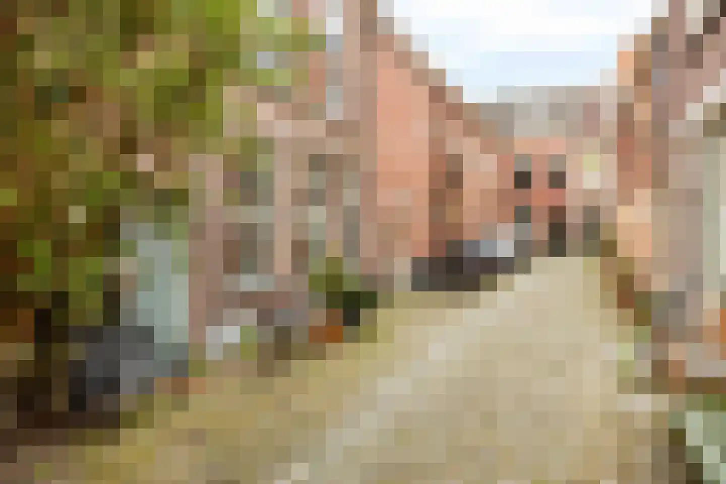 Nieuwsteeg 23 Leiden thumbnail 54