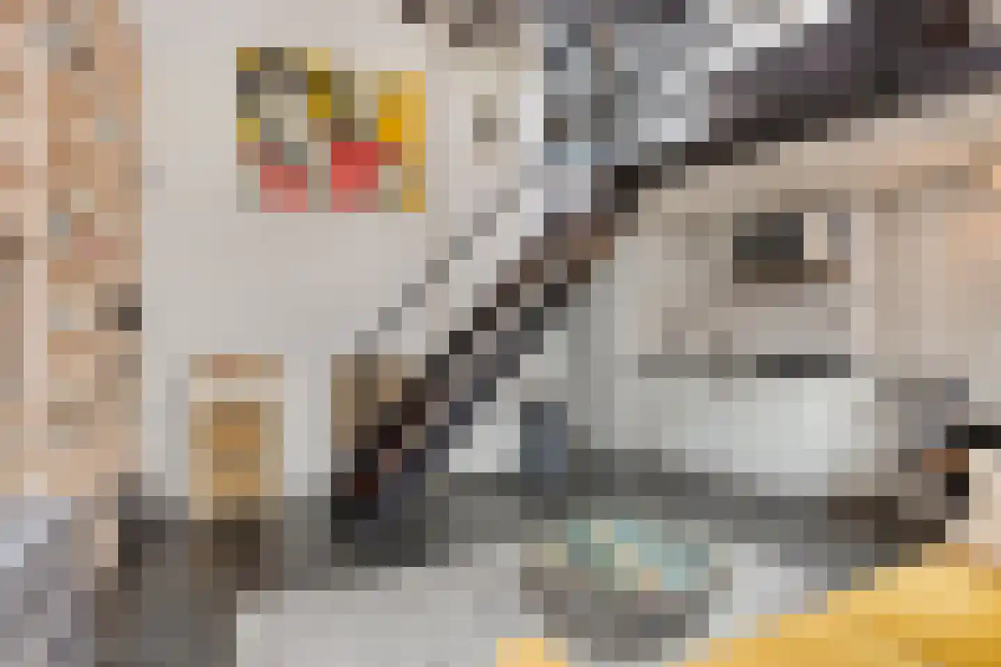 Nieuwsteeg 23 Leiden thumbnail 62