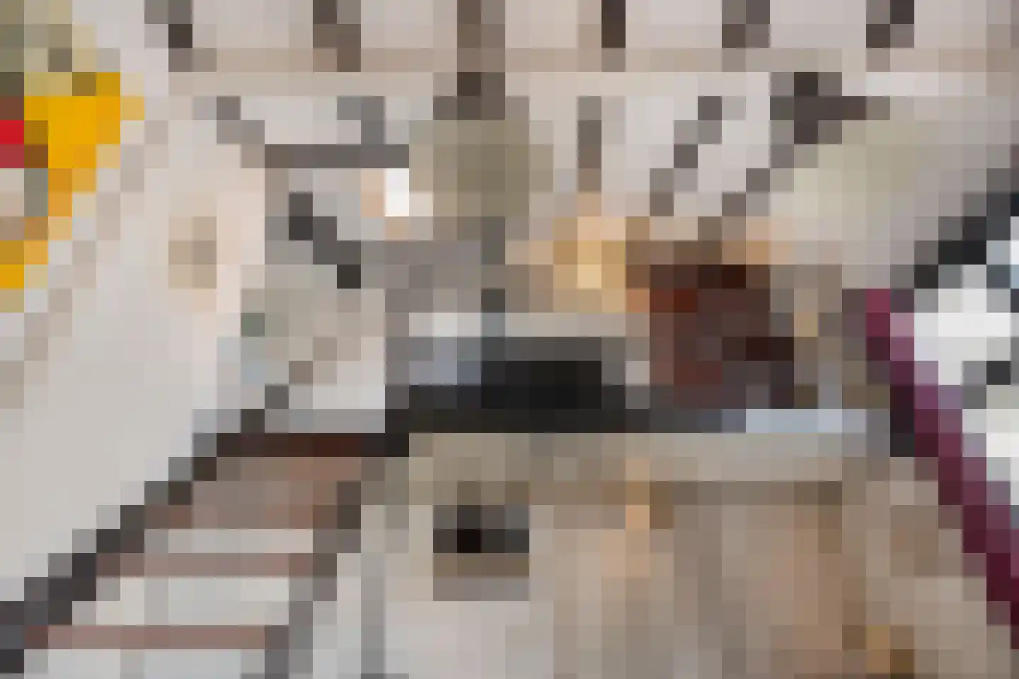 Nieuwsteeg 23 Leiden thumbnail 64