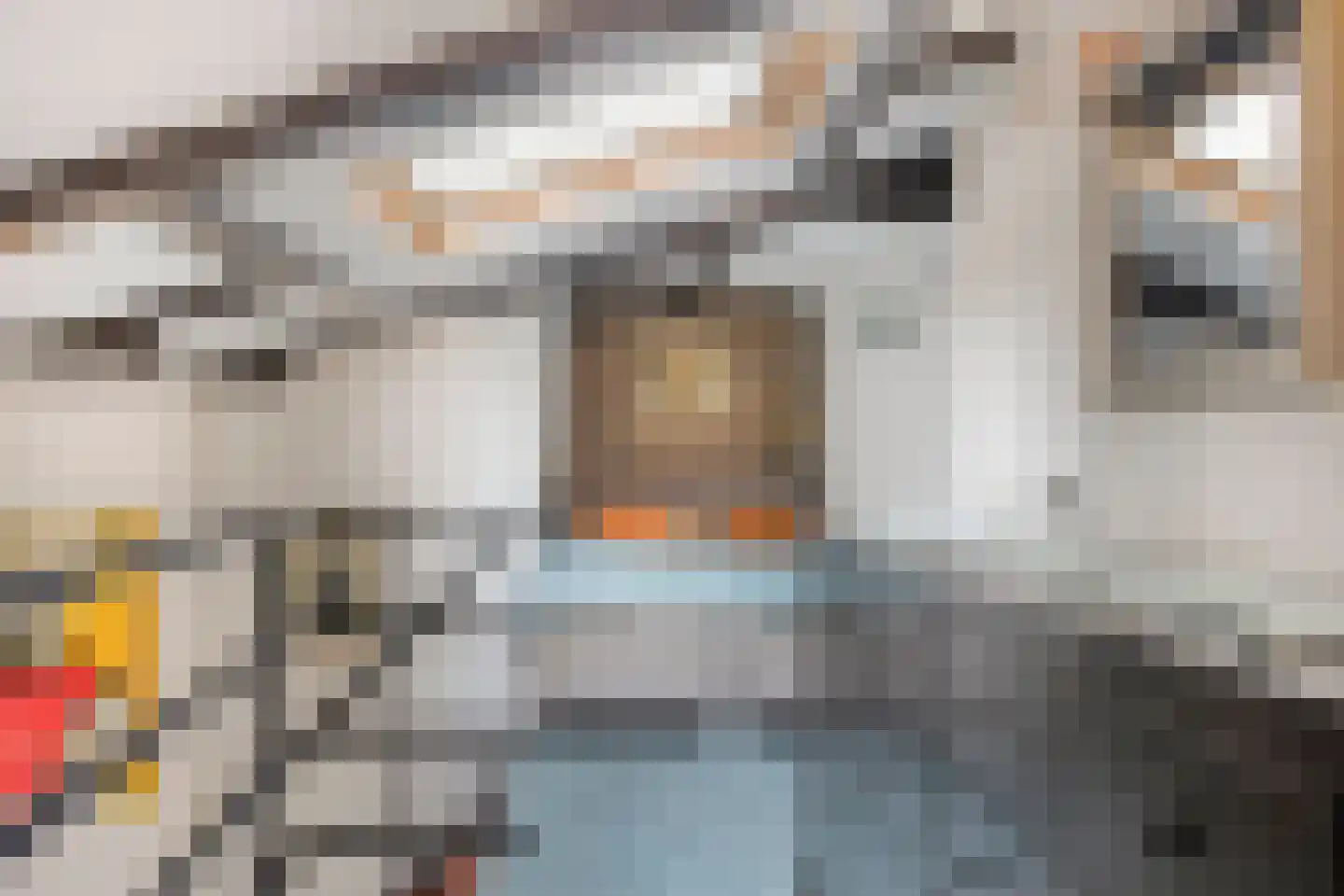 Nieuwsteeg 23 Leiden thumbnail 66