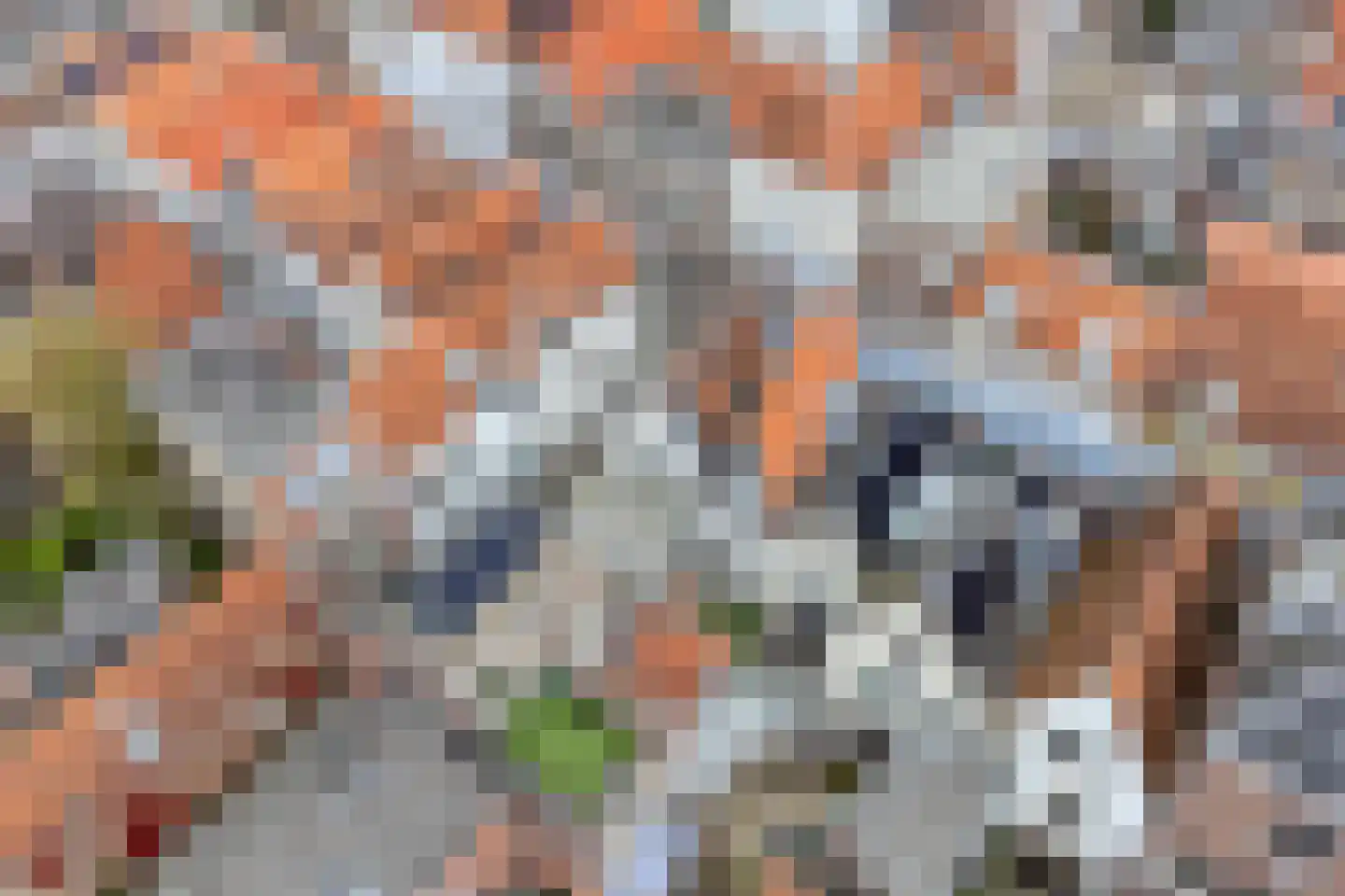 Nieuwsteeg 23 Leiden thumbnail 73