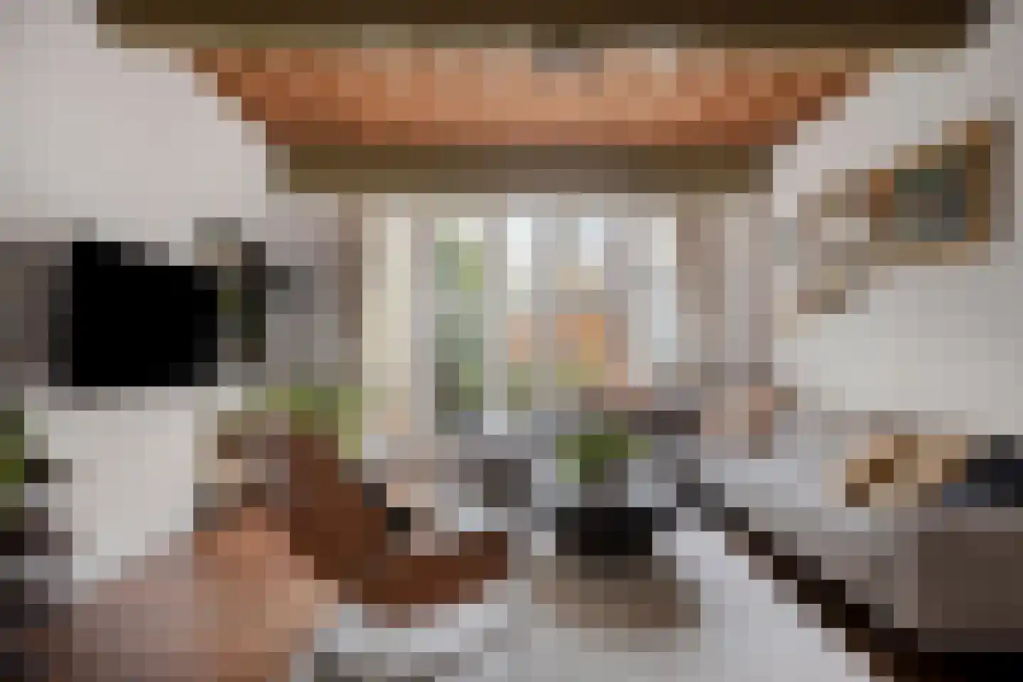 Nieuwsteeg 23 Leiden thumbnail 9