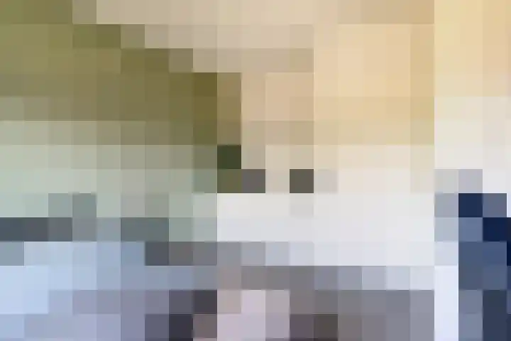 Nieuwsteeg 24 Tricht thumbnail 38