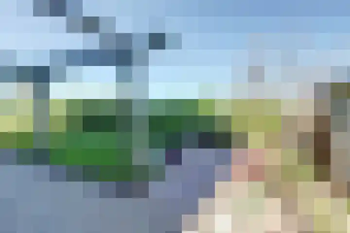 Nieuwsteeg 24 Tricht thumbnail 4