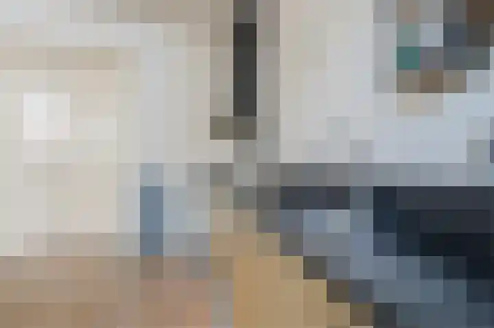 Nieuwsteeg 31 Hoorn thumbnail 13