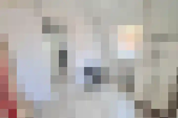 Nieuwsteeg 31 Hoorn thumbnail 43