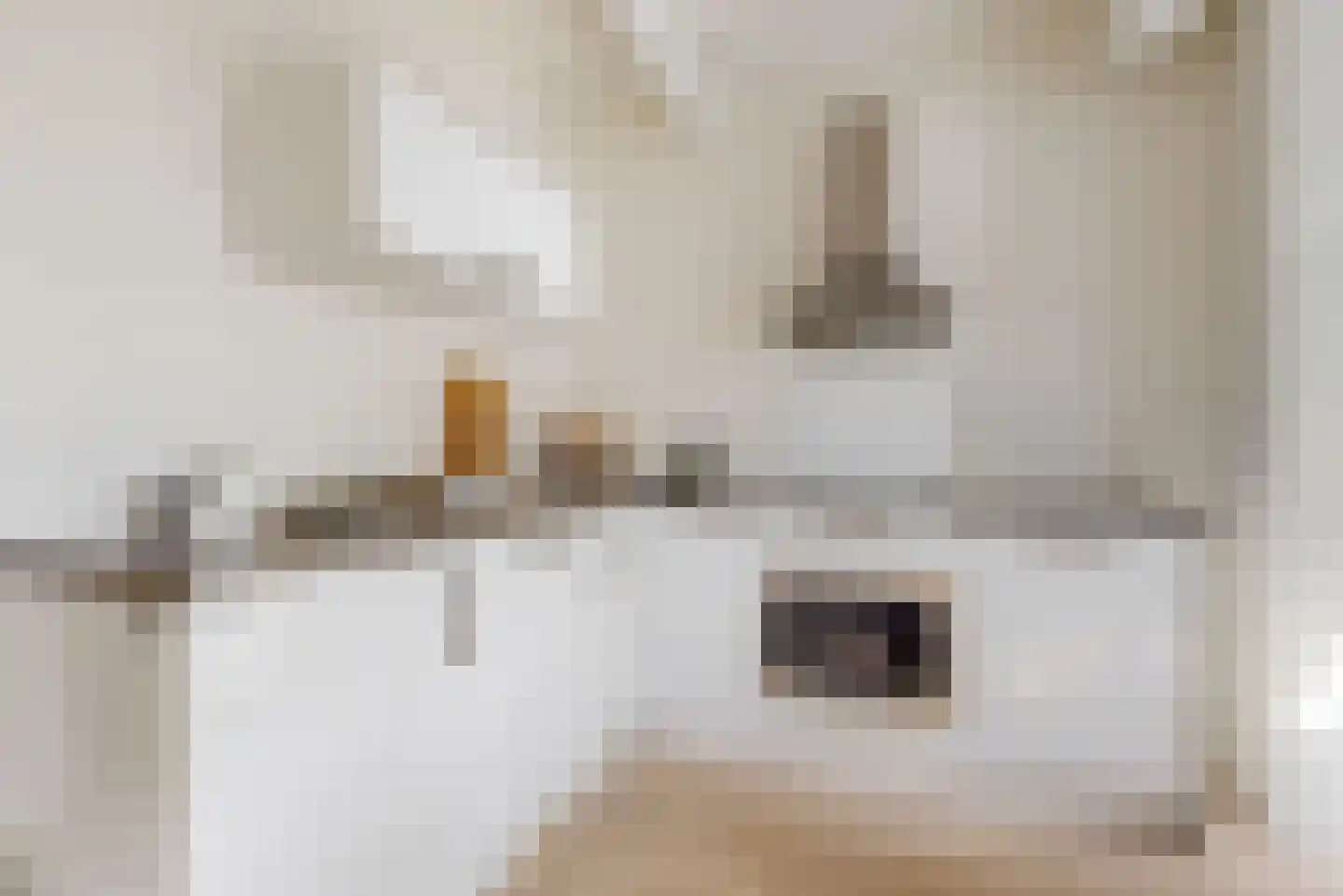 Nieuwsteeg 5 A Leiden thumbnail 10