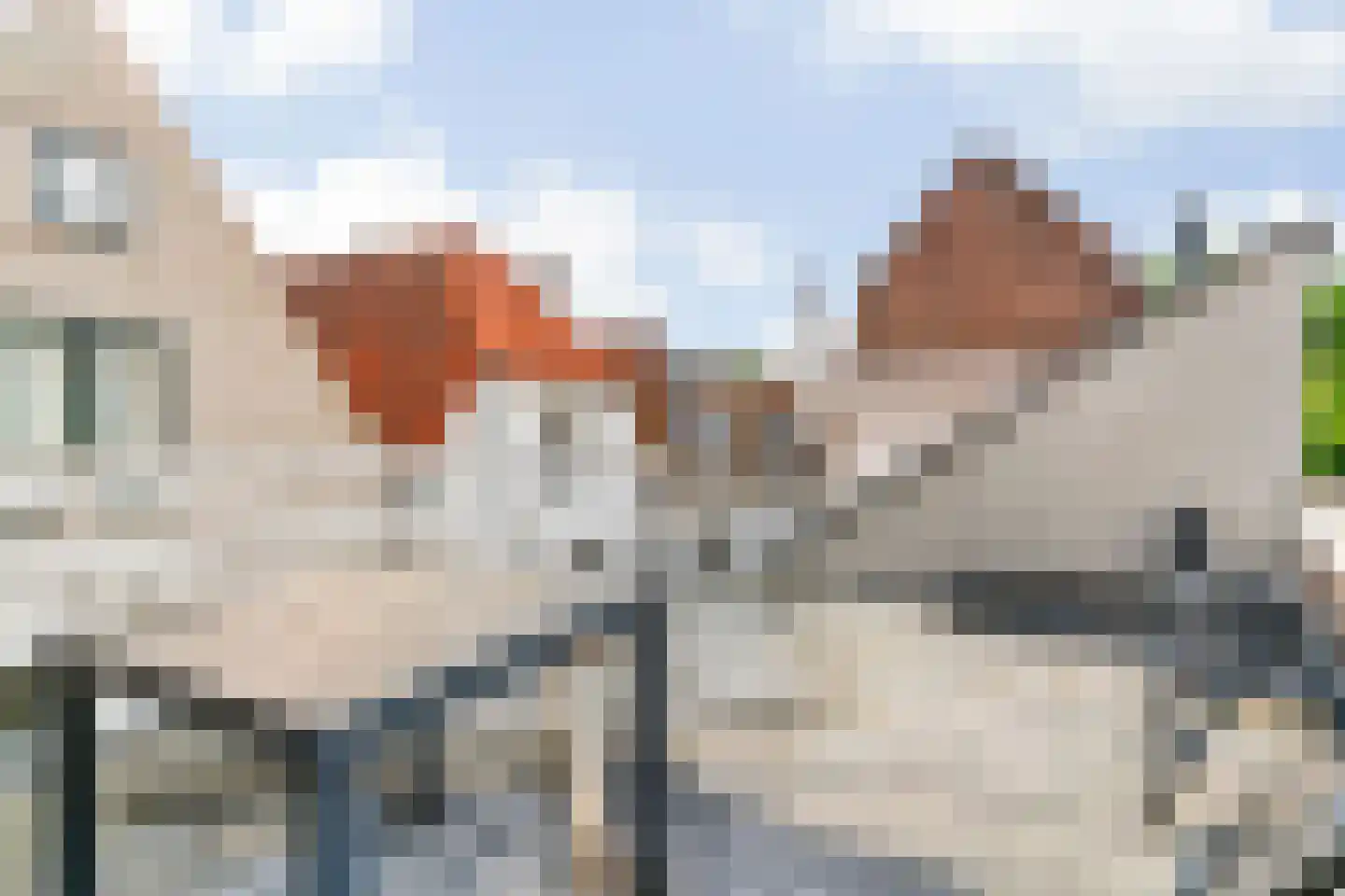 Nieuwsteeg 5 A Leiden thumbnail 29