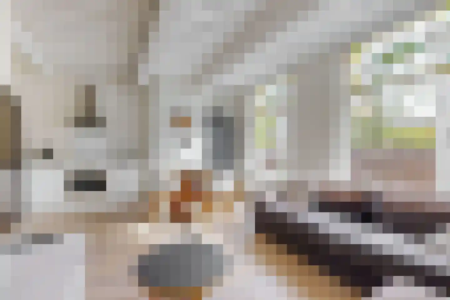 Nieuwsteeg 5 A Leiden thumbnail 5