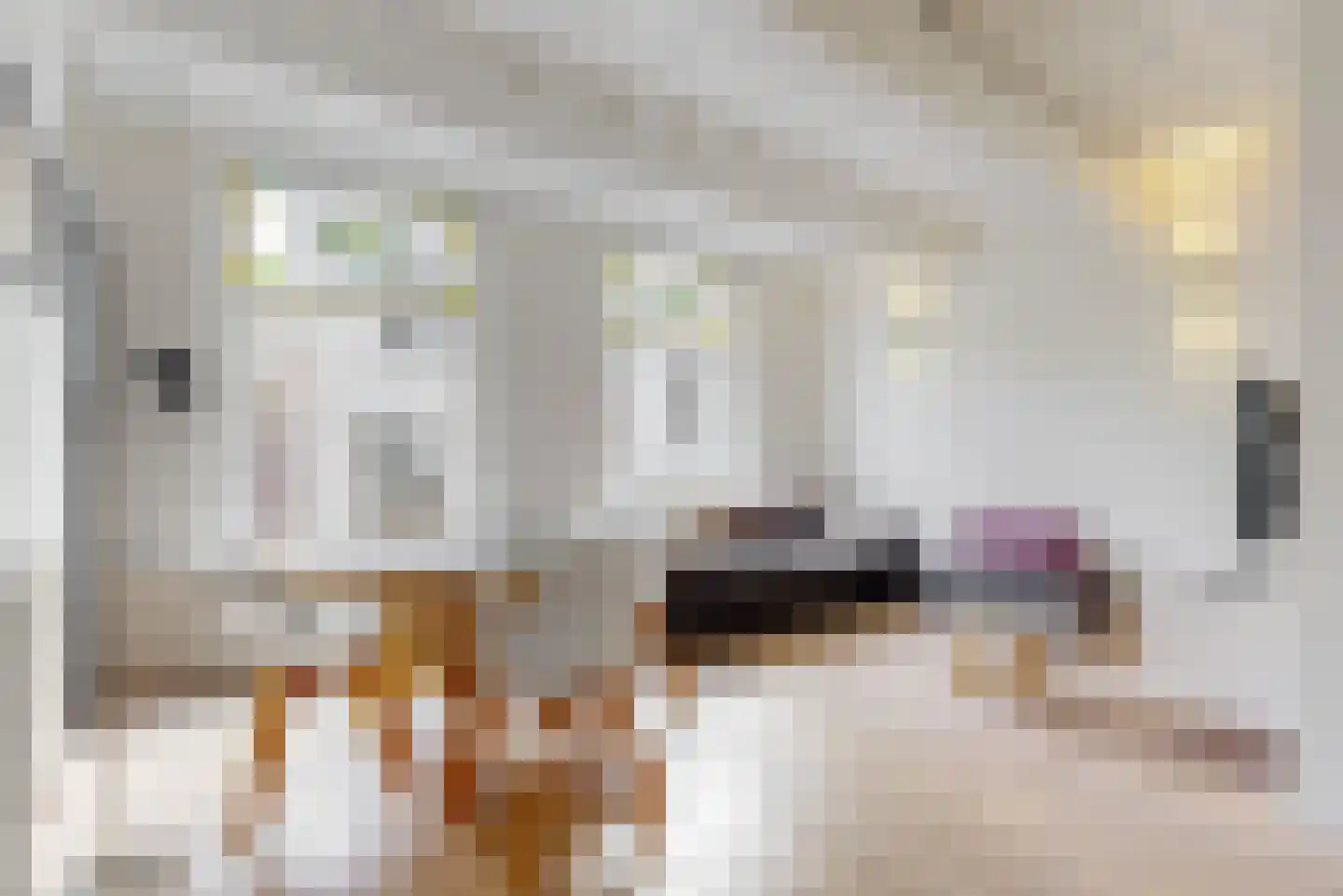 Nieuwsteeg 5 A Leiden thumbnail 6