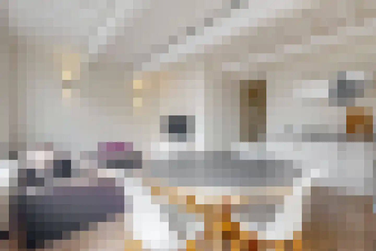 Nieuwsteeg 5 A Leiden thumbnail 7