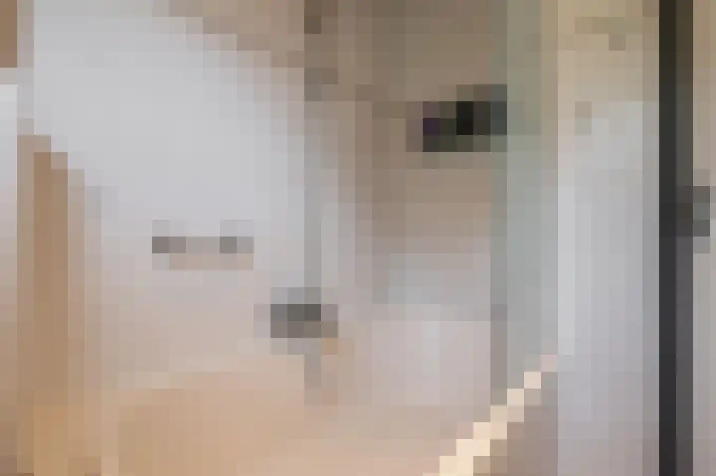Nieuwsteeg 77 Tricht thumbnail 19