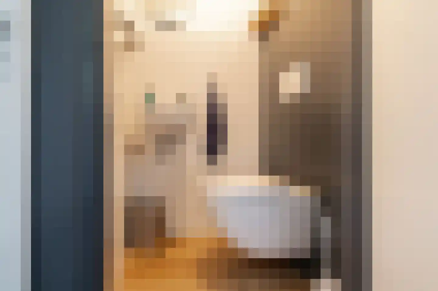 Nieuwsteeg 77 Tricht thumbnail 21