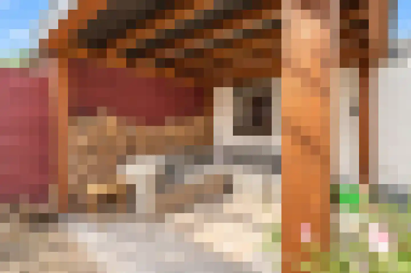 Nieuwsteeg 77 Tricht thumbnail 24