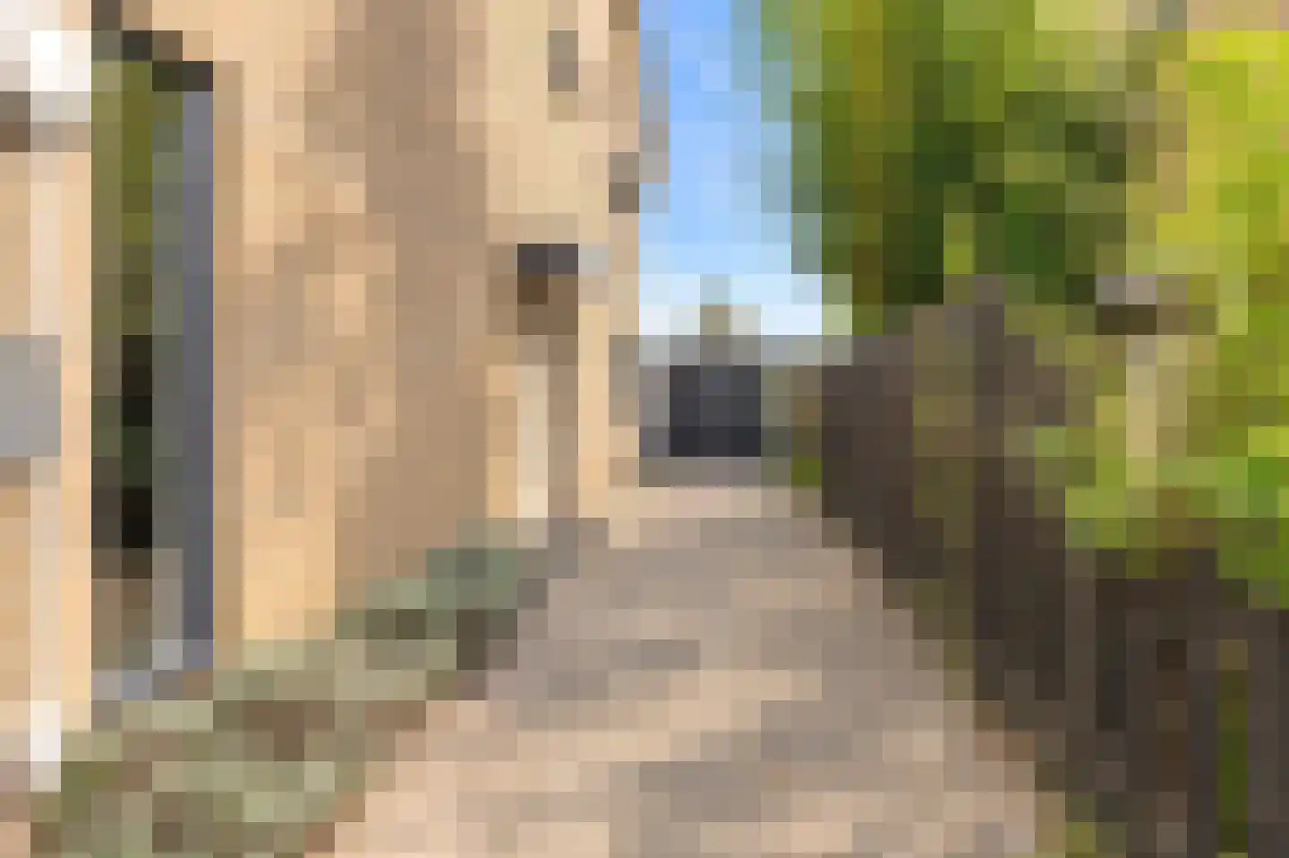 Nieuwsteeg 77 Tricht thumbnail 28
