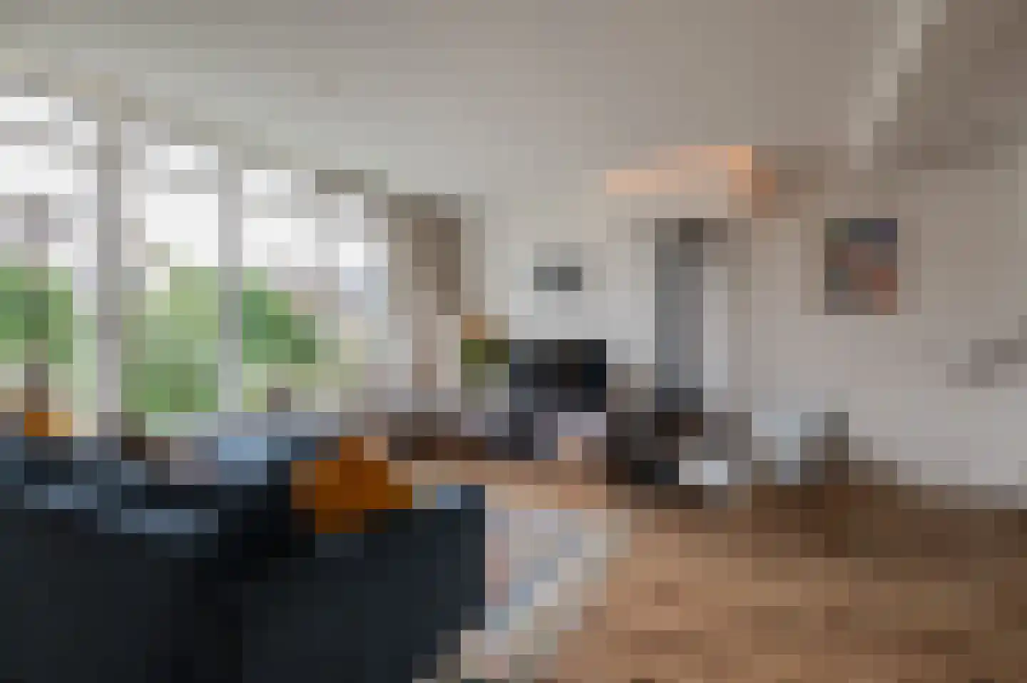 Nieuwsteeg 77 Tricht thumbnail 5